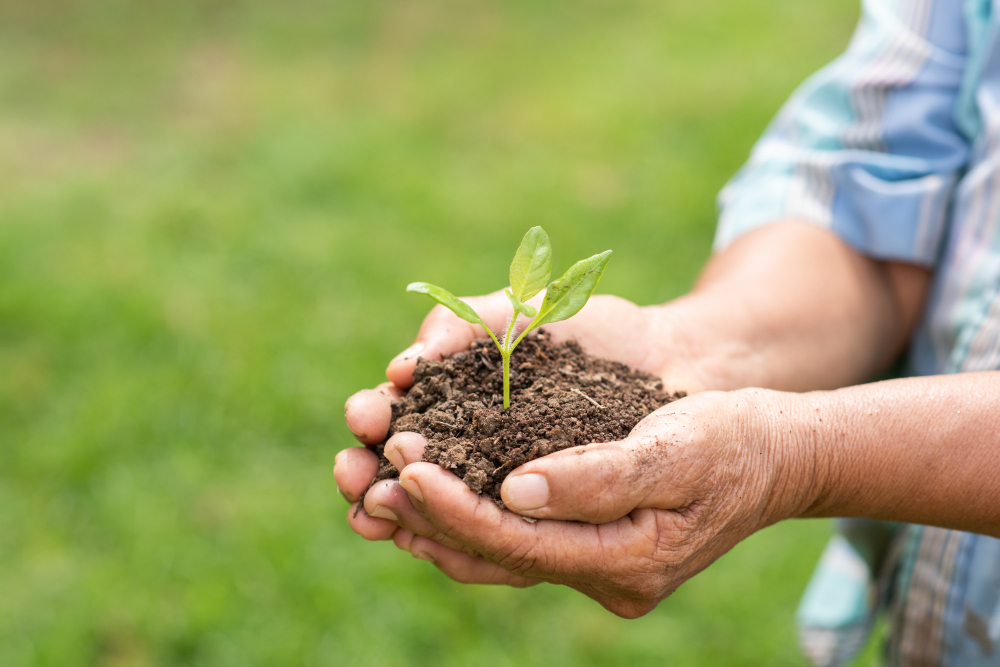 Helping Environment